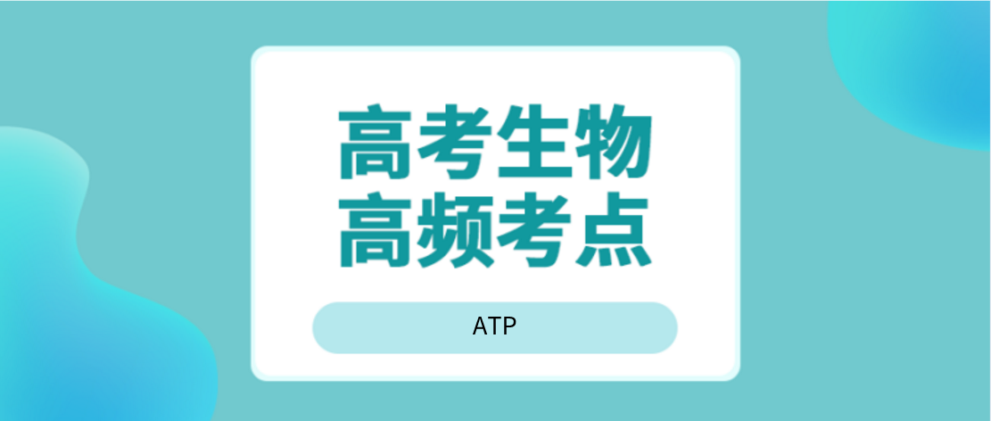 王羽课堂