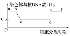 高考生物考点之细胞的增殖 王羽课堂