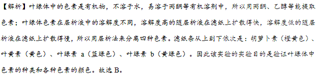 高考生物考点之绿叶素中色素的提取和分离 王羽课堂