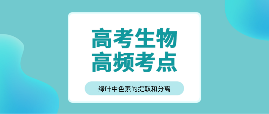 高考生物考点之绿叶素中色素的提取和分离 王羽课堂