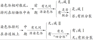 高考生物考点 减数分裂和有丝分裂的综合 王羽课堂