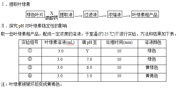 高考生物考点之绿叶素中色素的提取和分离 王羽课堂