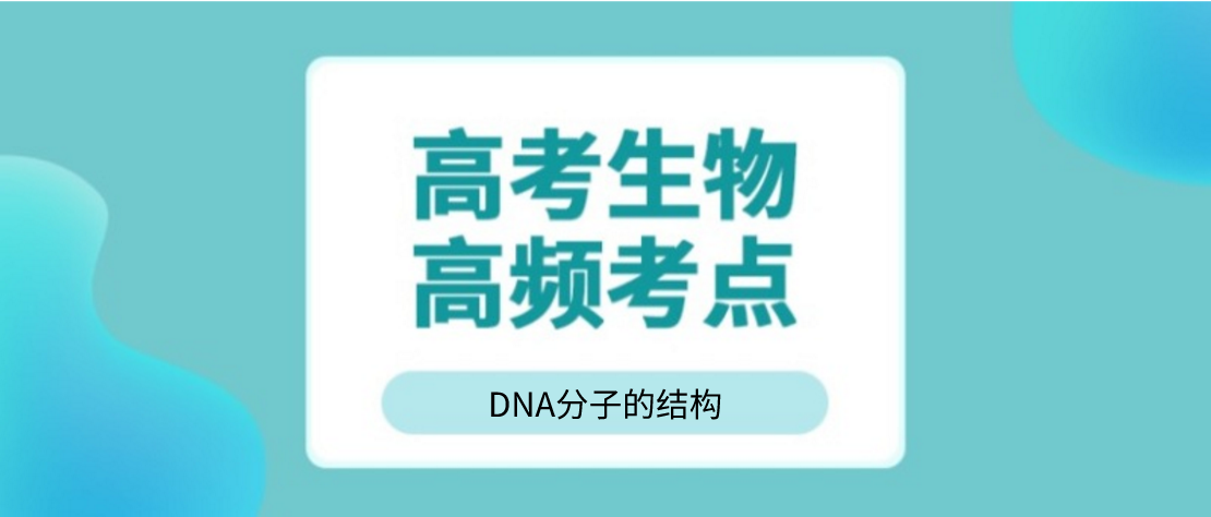 王羽课堂
