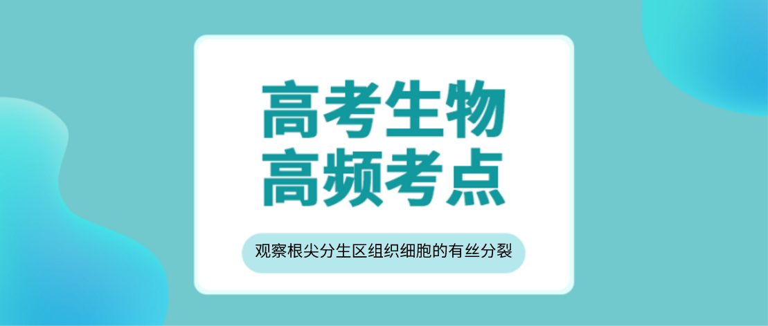 高考生物考点 观察根尖分生区组织细胞的有丝分裂 王羽课堂