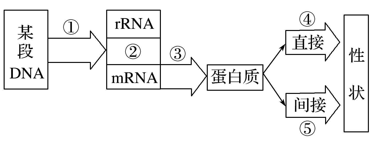 王羽课堂