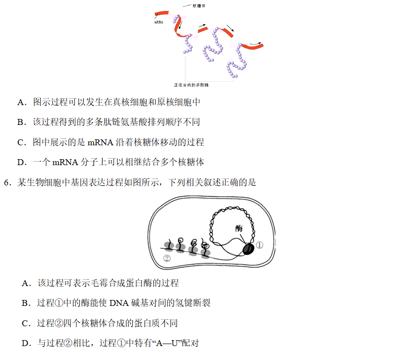 王羽课堂