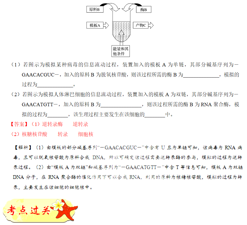王羽课堂
