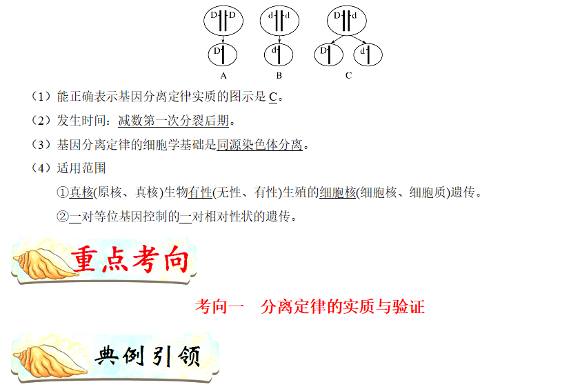 高考生物考点归纳 基因的分离定律 王羽课堂